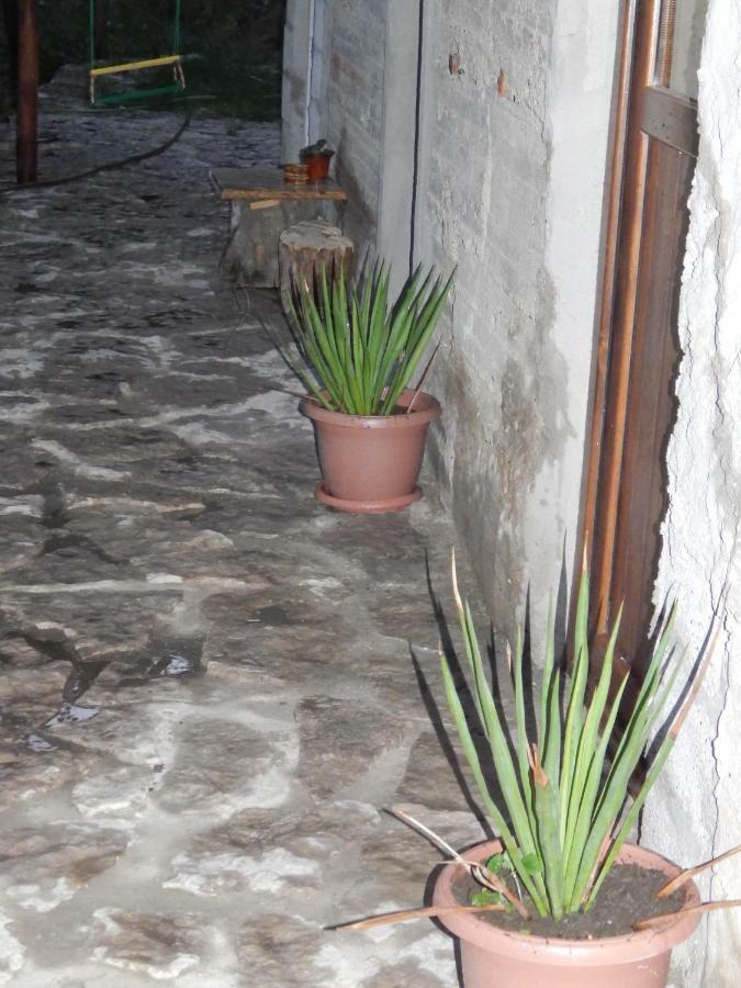 Arami Guest House Dilidjan Extérieur photo