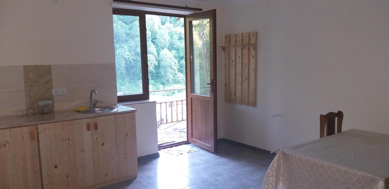 Arami Guest House Dilidjan Extérieur photo